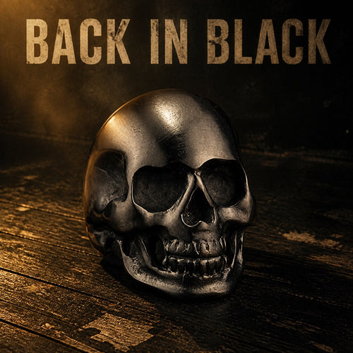 Back in Black matte black skull ring, blackened 316L stainless steel mens biker ring for hard rock fans