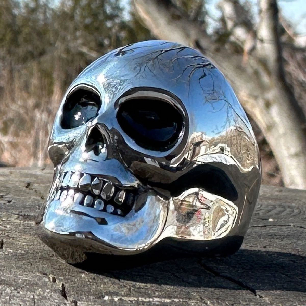 Ghost rider skull ring bug bold and heavy