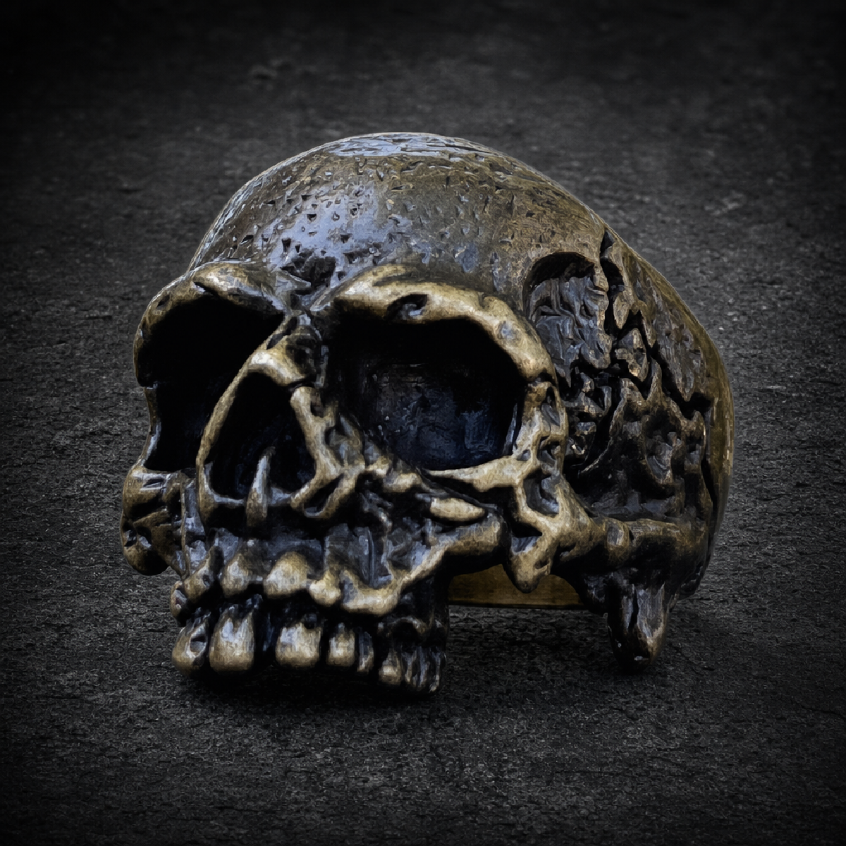 Bronze Warrior - Skull Ring - 316L stainless steel unisex jewelry (684SJ07)