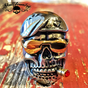 DON’T TREAD ON ME – DAMN YANKEES Skull Ring With Gold Sun Glasses & Cigar (#410)