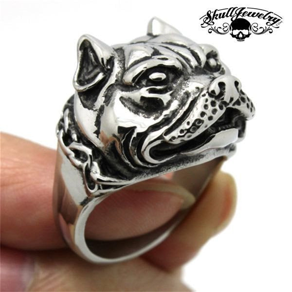 Pitbull Ring With Heavy Chain Around Neck