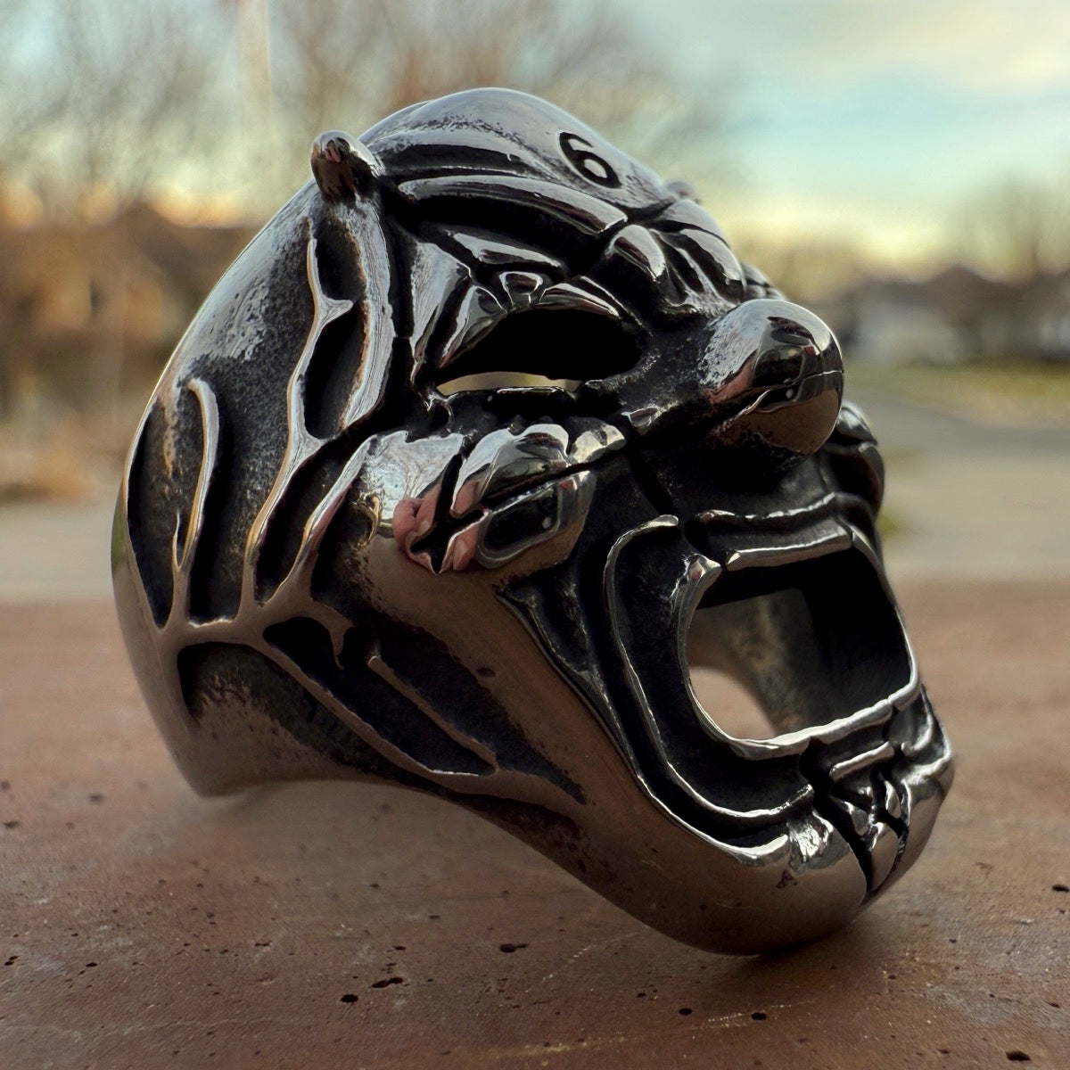 Hollowrage Reaper - ring number 6 in the deathmask series