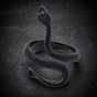 Black 'Snake Charmer' Ring (#R0355)