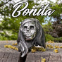 Bonita - Sugar Skull aka Día de Muertos anillo (#308)