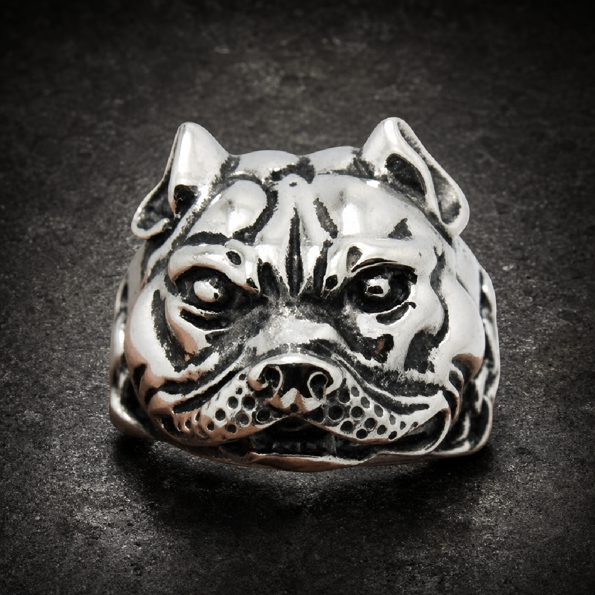 Don't Ask Me No Questions - Pitbull Ring With Heavy Chain Around Neck - 316L stainless steel unisex jewelry (R0772)