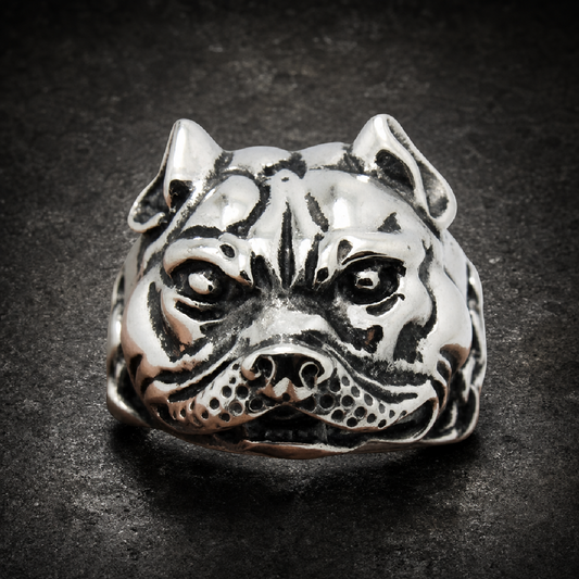 Don't Ask Me No Questions - Pitbull Ring With Heavy Chain Around Neck - 316L stainless steel unisex jewelry (R0772)
