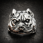 Don't Ask Me No Questions - Pitbull Ring With Heavy Chain Around Neck (#R0772)
