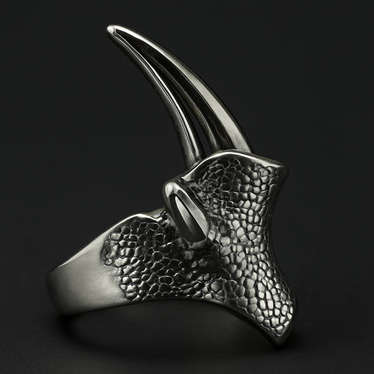 Predator Claw Power Ring crafted in 316L stainless steel, showcasing a fierce claw design symbolizing power and resilience.
