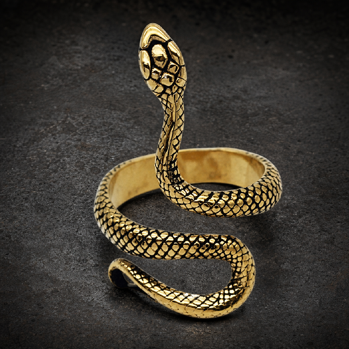 Gold-Tone 'Snake Charmer' Ring - 316L stainless steel unisex jewelry (P910)