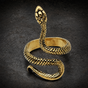 Gold-Tone 'Snake Charmer' Ring (#R0354)