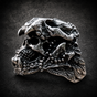 Mythical Jaguar Native American Skull Ring (#R0418)