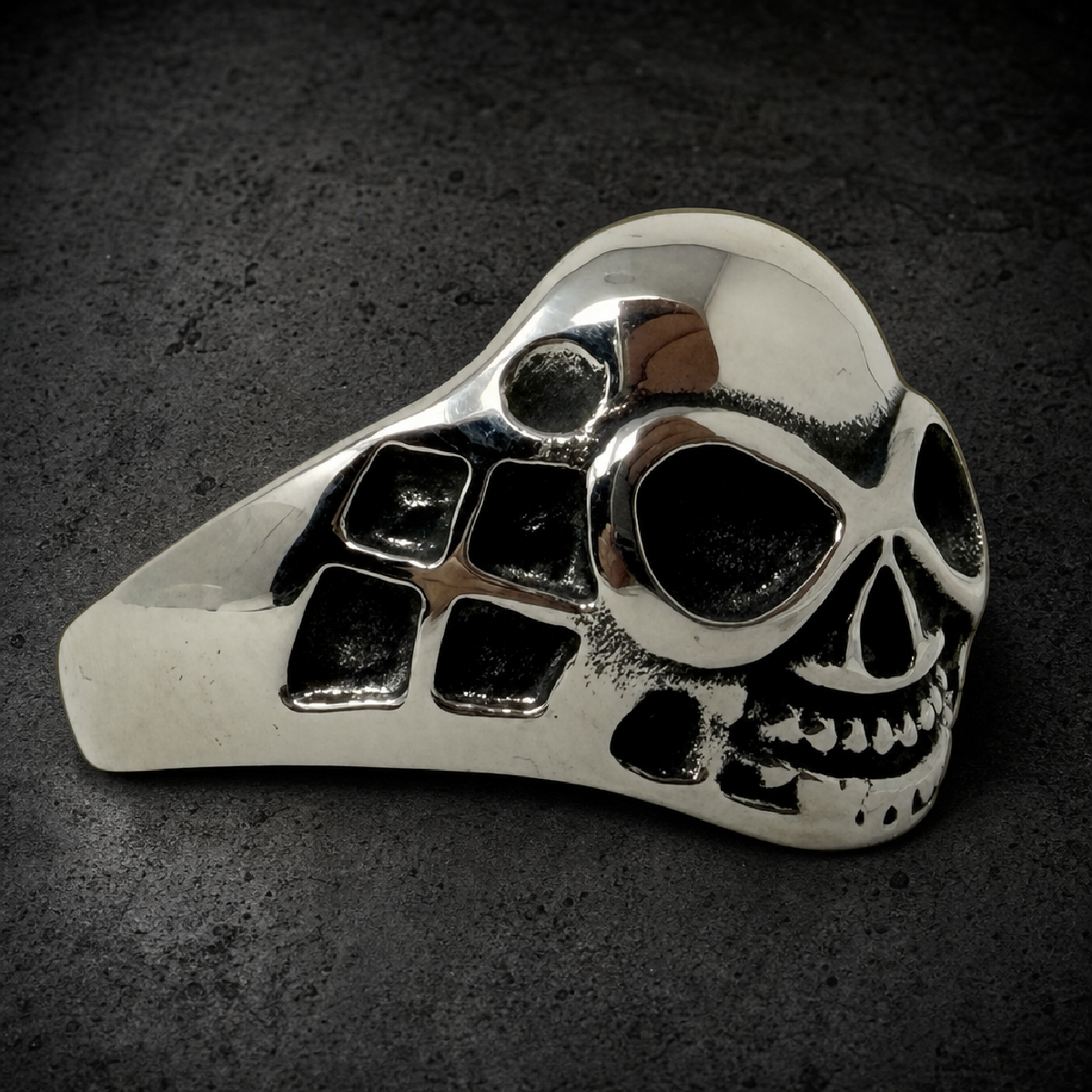 Silver Widow Luxe - Stainless Steel Skull Ring w/ Web Design - 316L stainless steel unisex jewelry (R0320)