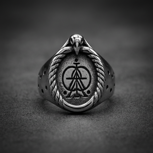Arc of Dominion all stainless steel ring featuring a textured serpent head holding an ancient dark symbol, on a dark background.