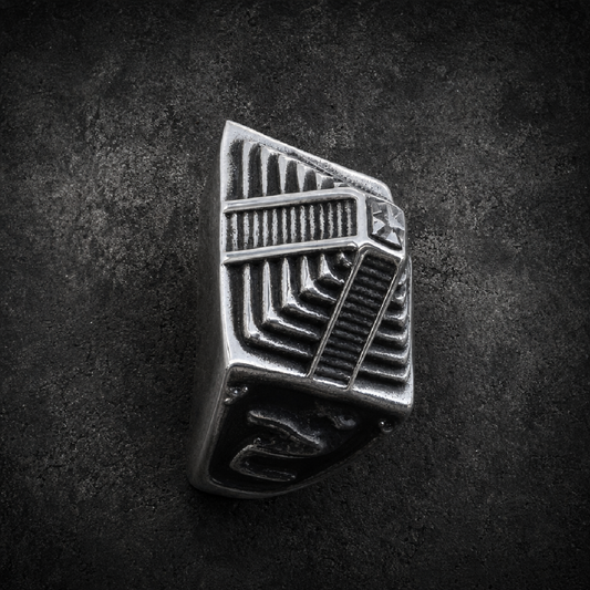 That's The Way Snake Temple Stainless Steel Ring w/ CZ - 316L stainless steel unisex jewelry (R0516)