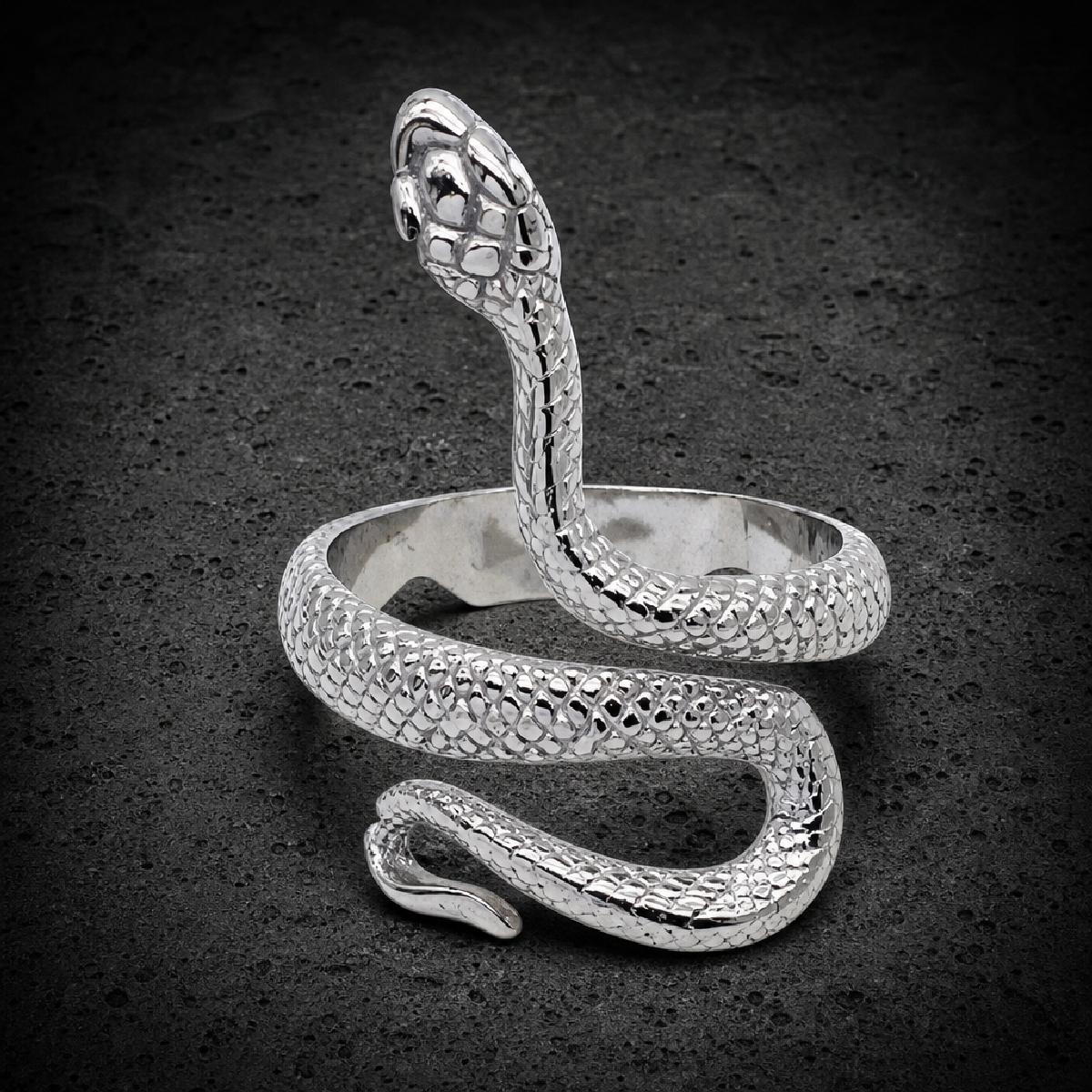 Viper Vow – 🐍 Serpent Coil Stainless Ring - 316L stainless steel unisex jewelry (R0349)