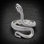 Viper Vow – 🐍 Serpent Coil Stainless Ring (#R0349)