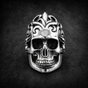 Won't Get Fooled Again - Big, Bold & Heavy Skull Ring (#R0398)